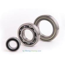 Grande estoque Popular Deep Groove Ball Bearing 6010